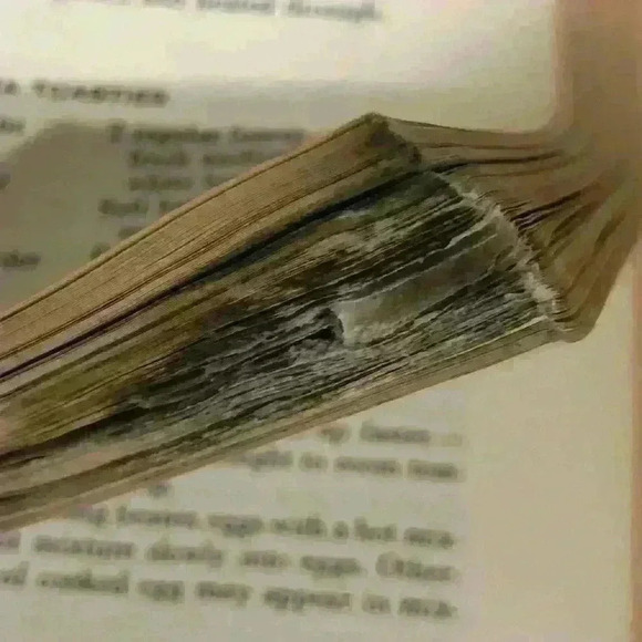 Vintage Good Housekeeping Cookbook READ - Picture 6 of 6